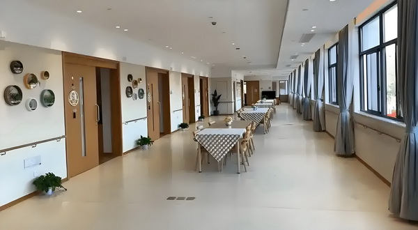 深圳龙岗区积分入户条件_陈梦与演员任嘉伦一起打乒乓球，两人系发小+队友 店经营家饭了一一起